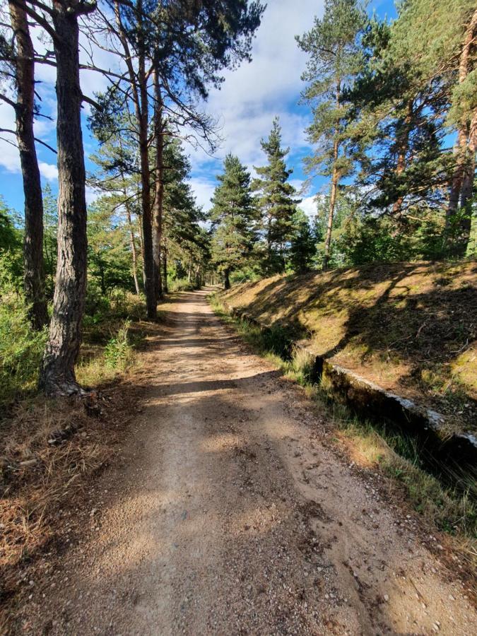 Les Gites Estaou Treillo Le Monastier sur Gazeille Exterior photo