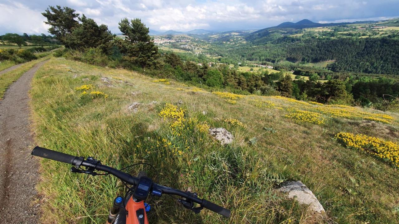 Les Gites Estaou Treillo Le Monastier sur Gazeille Exterior photo